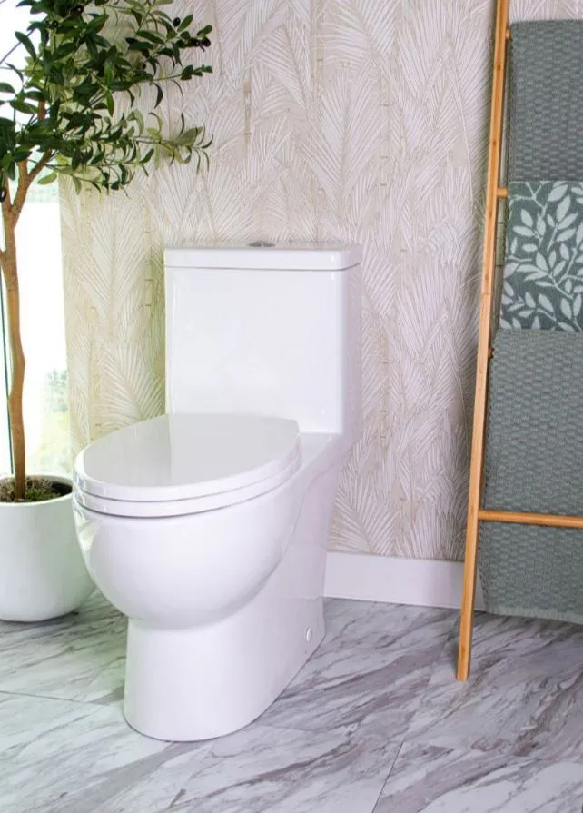 Caroma Caravelle Smart One Piece (Button) Dual-Flush Toilet