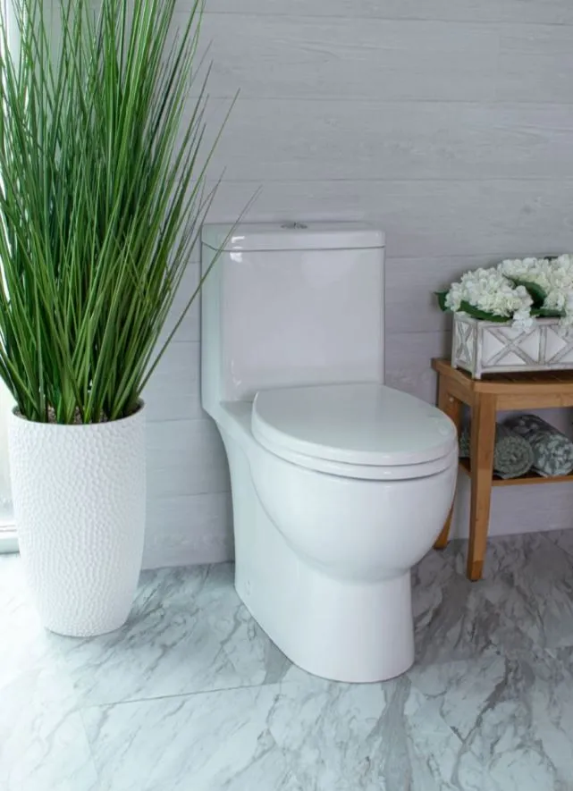 Caroma Caravelle Smart One Piece (Button) Dual-Flush Toilet