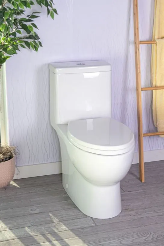 Caroma Caravelle Smart One Piece (Button) Dual-Flush Toilet