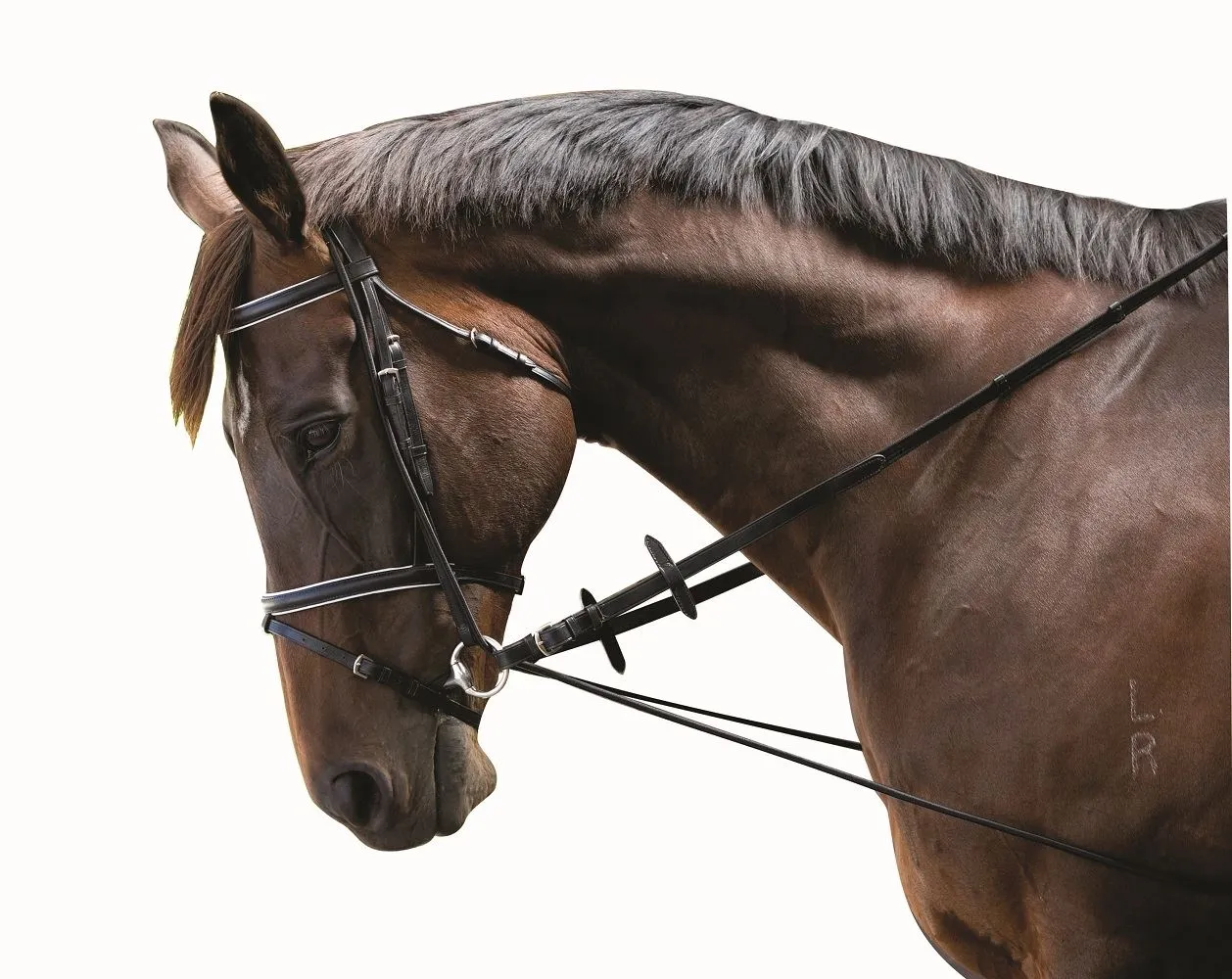 Kincade Elastic Chambon Training Strap