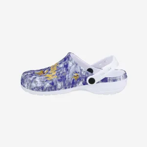 Minnesota Vikings Womens Cloudie Clog With Strap