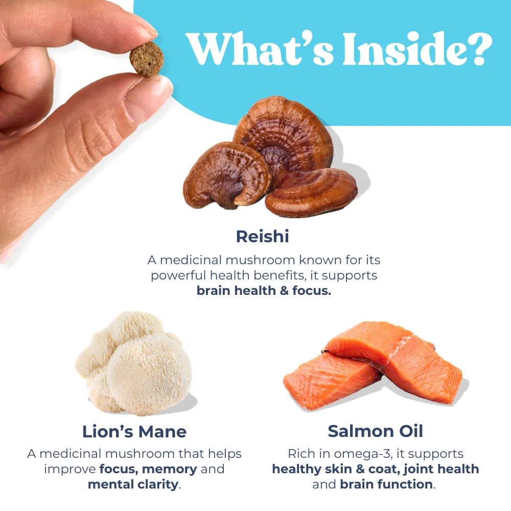 Salmon Mini Training Treats