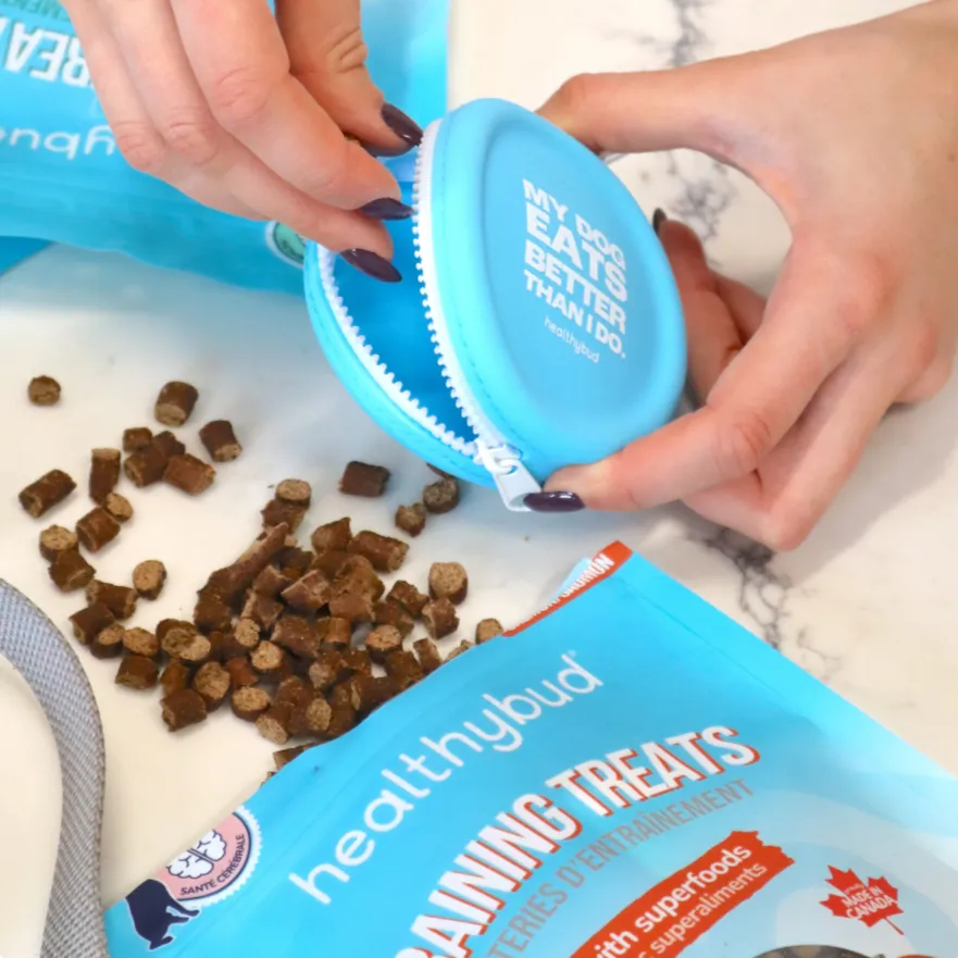 Salmon Mini Training Treats