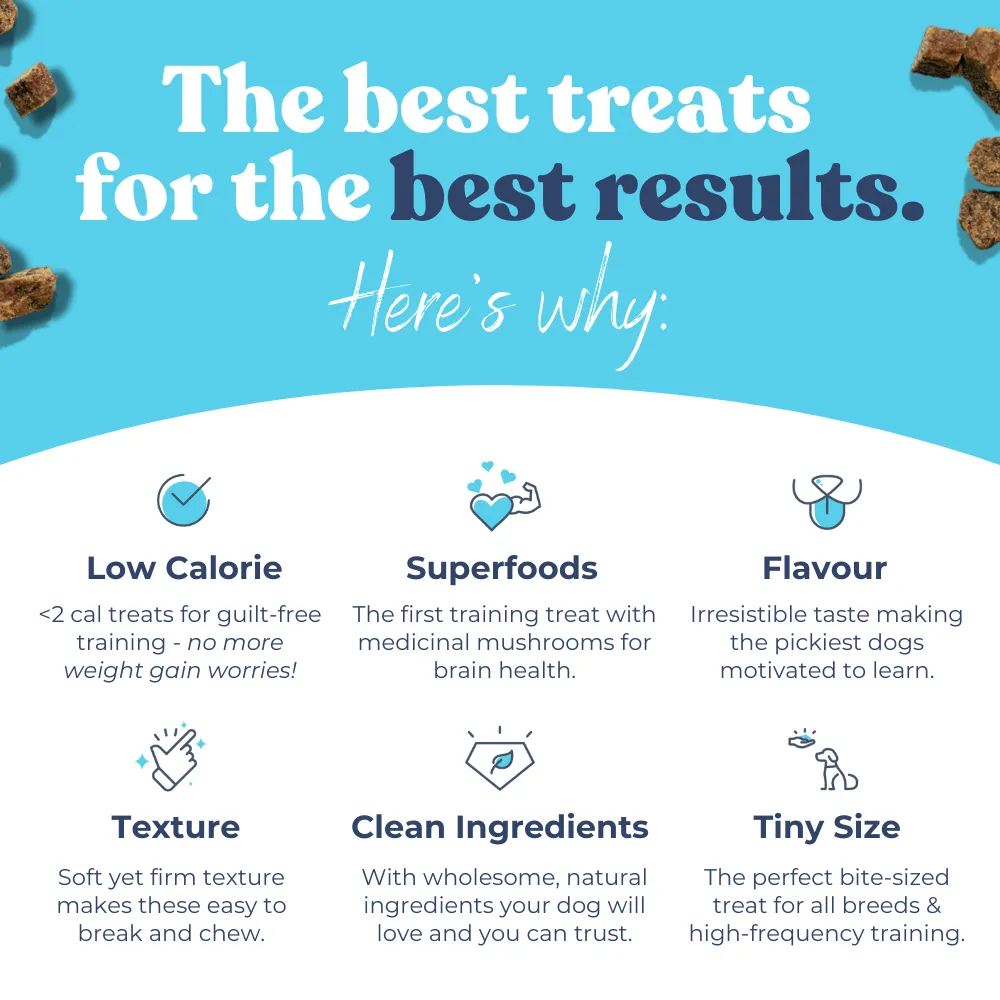 Salmon Mini Training Treats