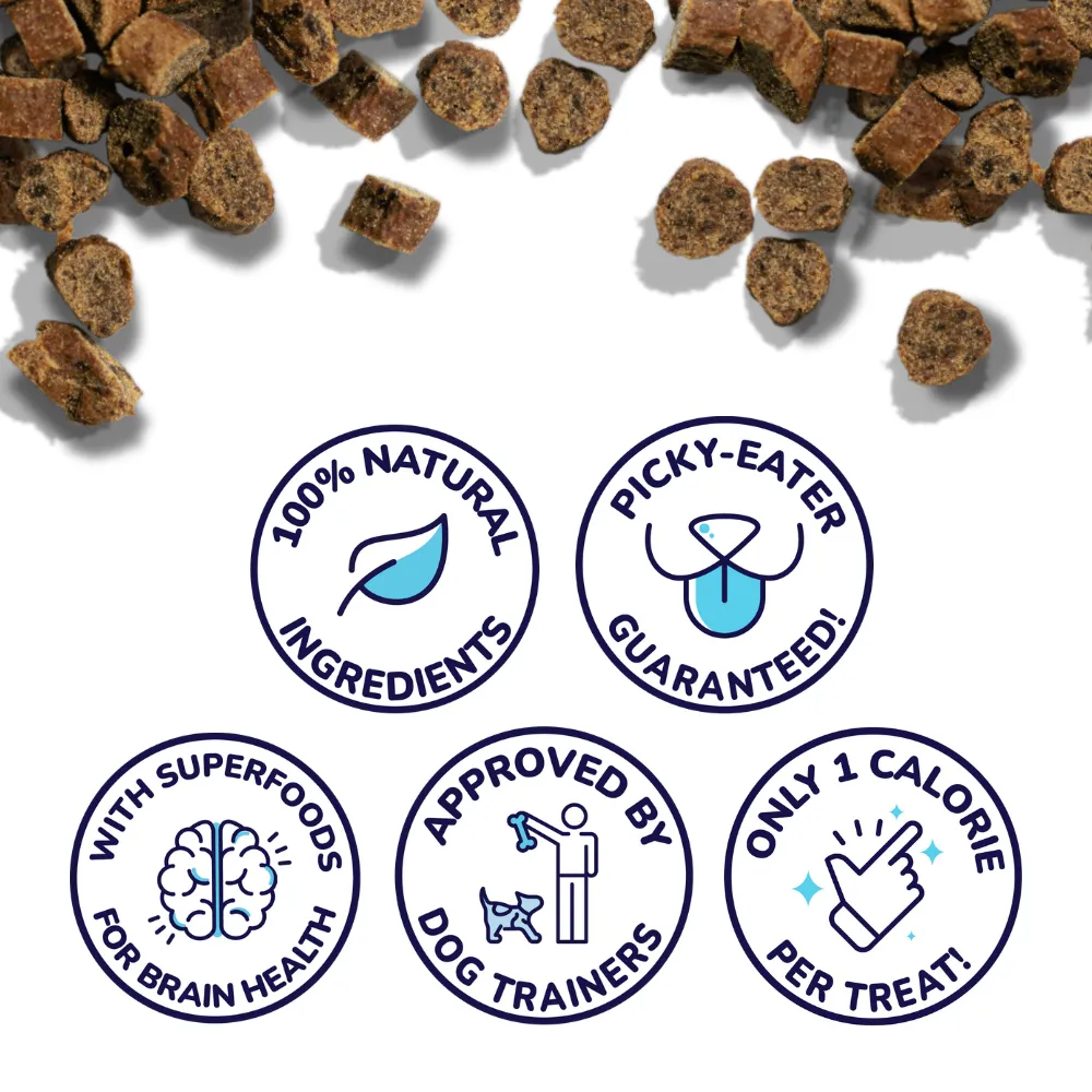 Salmon Mini Training Treats