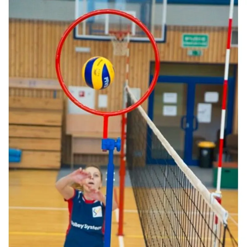 Setter Training Ring