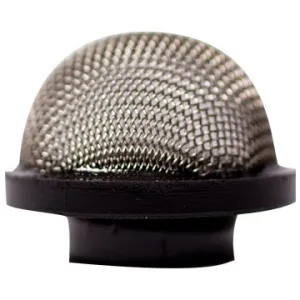 Strainer Acorn 1/8" FPT